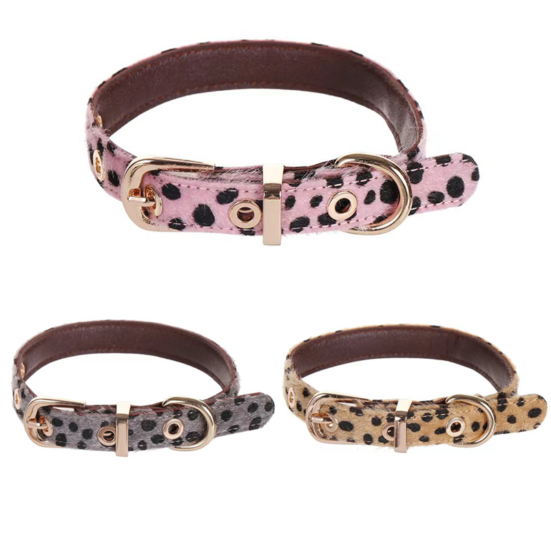Obroża dla małego psa w panter – Leather Strap Quick Release recenzja i cena